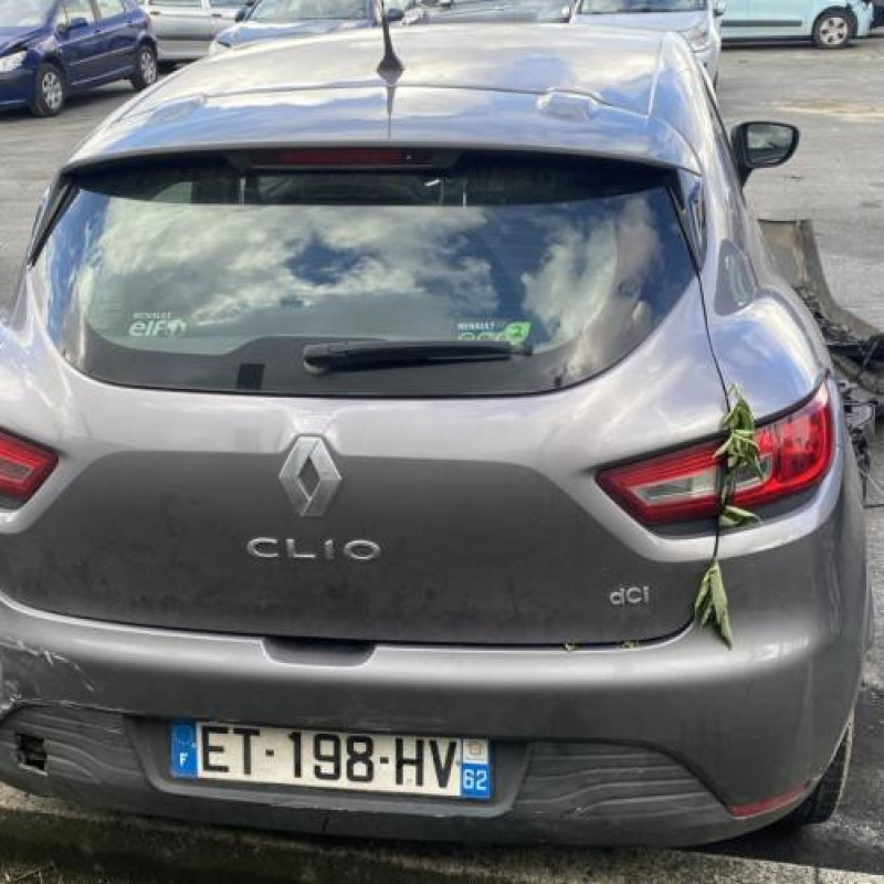 Porte arriere droit RENAULT CLIO 4 Photo n°13