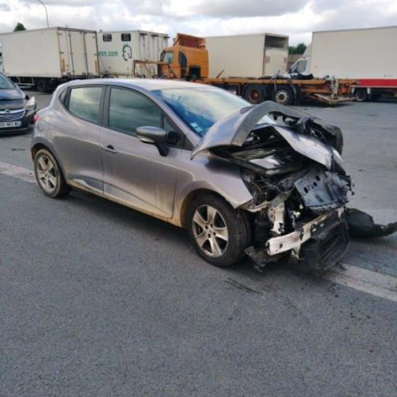 Porte arriere droit RENAULT CLIO 4 Photo n°20