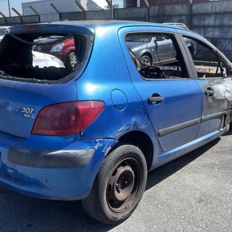 Amortisseur arriere gauche PEUGEOT 307 Photo n°3
