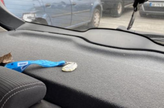 Debitmetre RENAULT CLIO 3