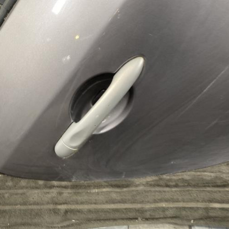 Porte arriere droit RENAULT MEGANE 3 Photo n°2