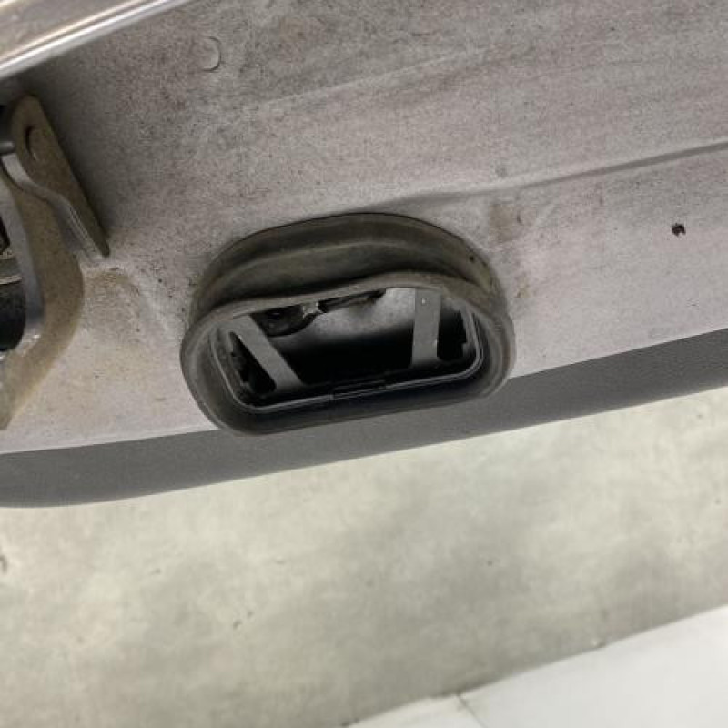 Porte arriere droit RENAULT MEGANE 3 Photo n°5