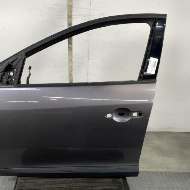 Porte avant gauche RENAULT MEGANE 3 Photo n°1