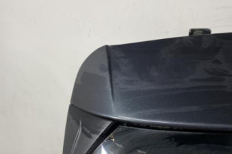 Malle/Hayon arriere DACIA SANDERO 3