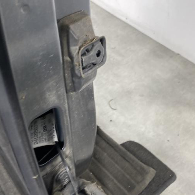 Porte arriere droit DACIA SANDERO 3 Photo n°3