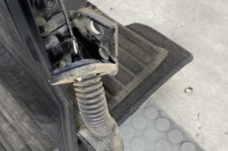 Porte arriere droit DACIA SANDERO 3