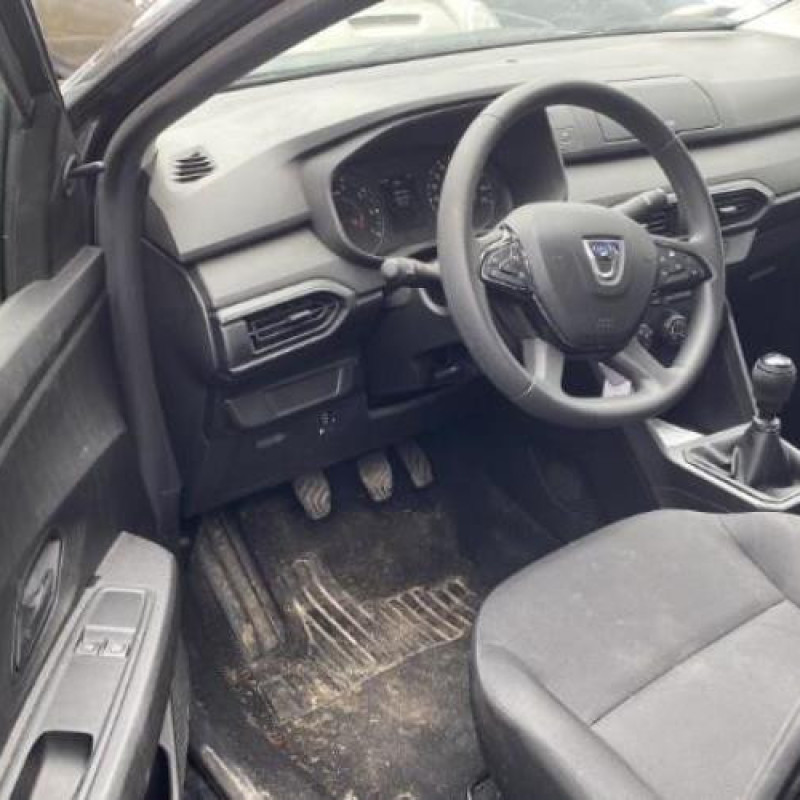 Porte arriere droit DACIA SANDERO 3 Photo n°6