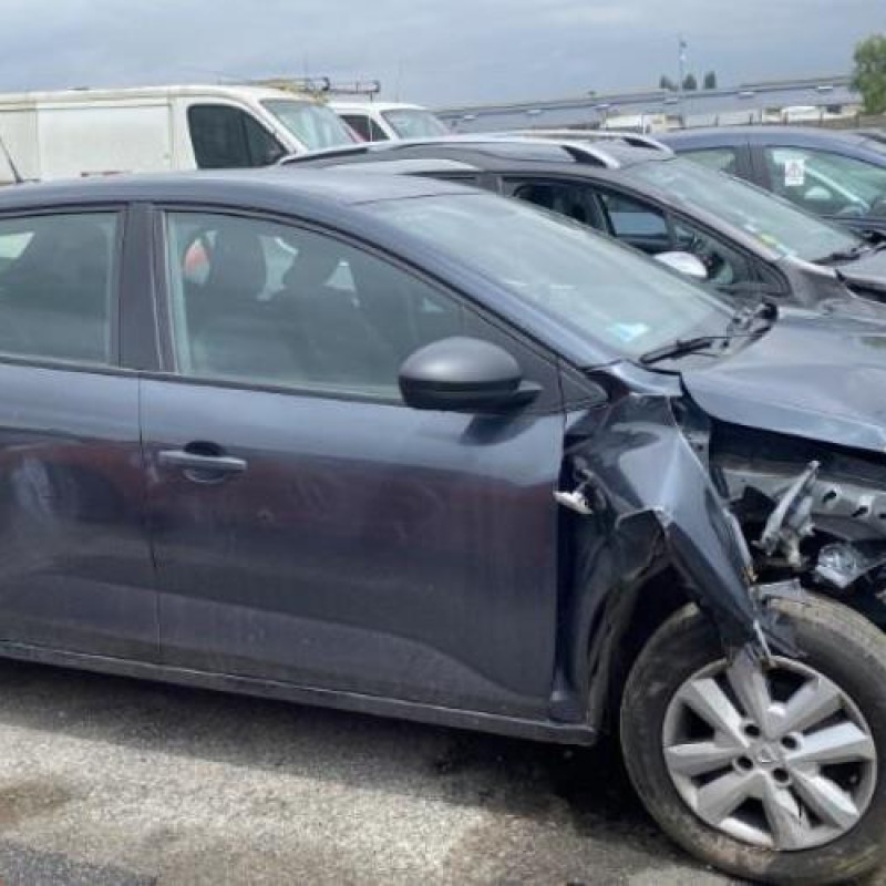 Porte arriere droit DACIA SANDERO 3 Photo n°8