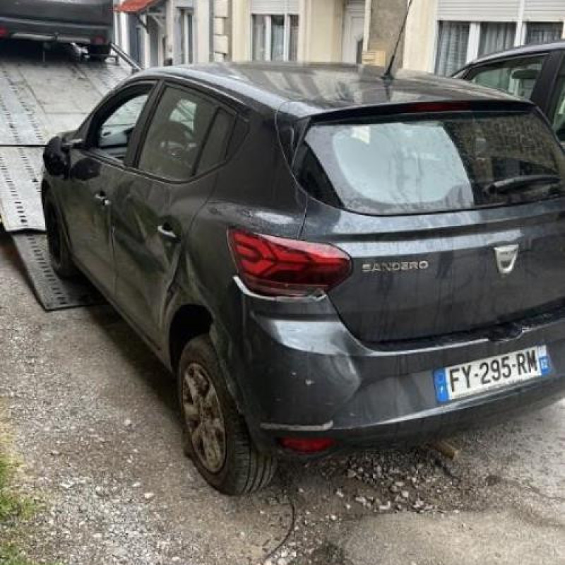 Porte arriere droit DACIA SANDERO 3 Photo n°10