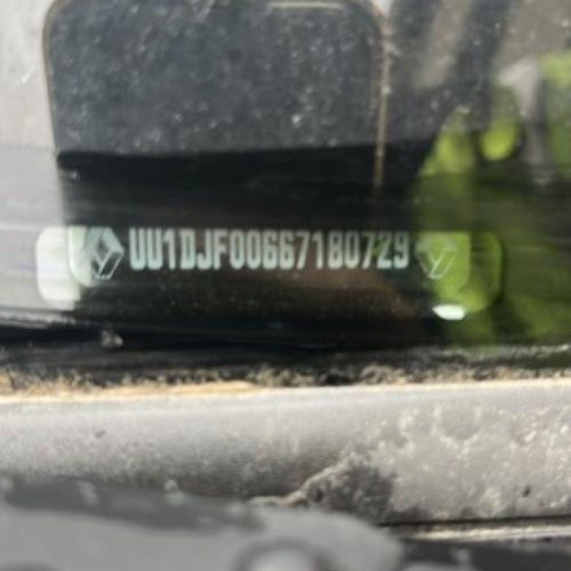Porte arriere droit DACIA SANDERO 3 Photo n°13