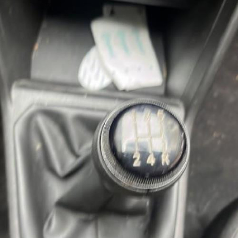 Porte arriere droit DACIA SANDERO 3 Photo n°20