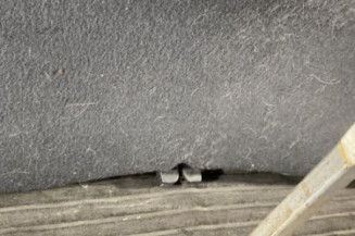 Malle/Hayon arriere RENAULT ESPACE 4