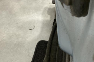 Porte arriere gauche RENAULT ESPACE 4
