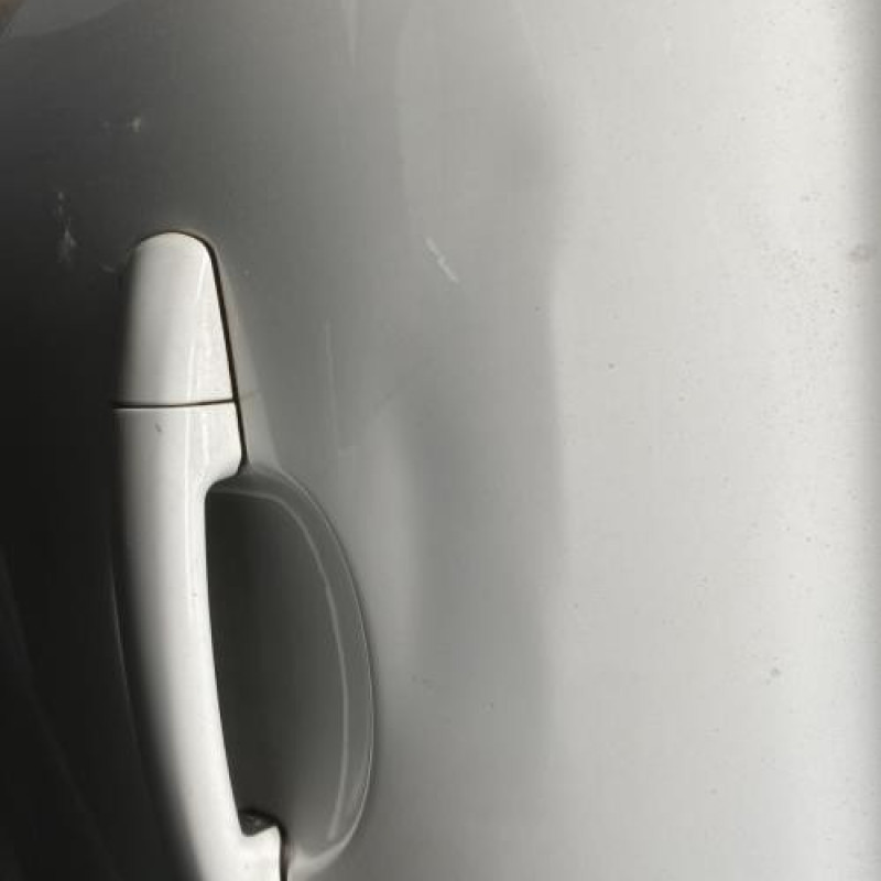 Porte arriere droit PEUGEOT 207 Photo n°7