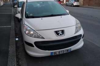 Porte arriere droit PEUGEOT 207