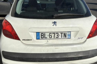 Porte arriere droit PEUGEOT 207