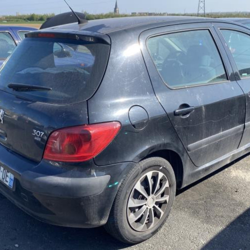 Custode avant droit (porte) PEUGEOT 307 Photo n°7