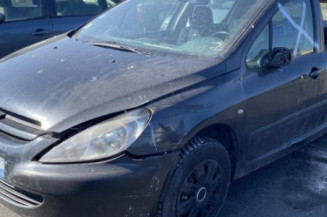 Custode avant gauche (porte) PEUGEOT 307