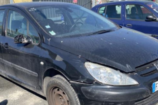 Custode avant gauche (porte) PEUGEOT 307