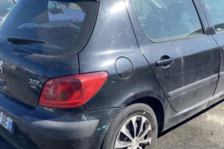 Custode avant gauche (porte) PEUGEOT 307