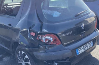 Custode avant gauche (porte) PEUGEOT 307