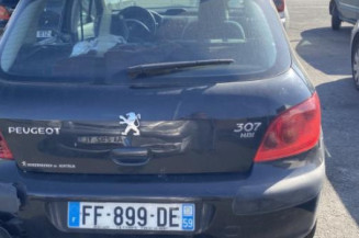 Custode avant gauche (porte) PEUGEOT 307