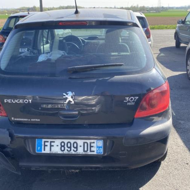 Custode avant gauche (porte) PEUGEOT 307 Photo n°9