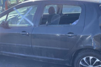 Custode avant gauche (porte) PEUGEOT 307