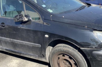 Custode avant gauche (porte) PEUGEOT 307