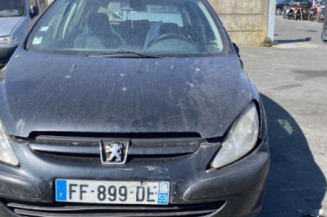 Custode avant gauche (porte) PEUGEOT 307