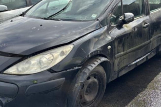 Baguette de porte avant droite PEUGEOT 307