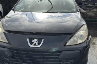 Baguette de porte avant droite PEUGEOT 307