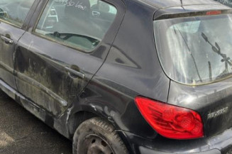 Debitmetre PEUGEOT 307