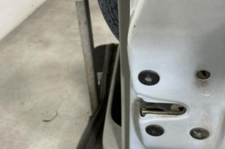 Porte avant droit RENAULT SCENIC 1