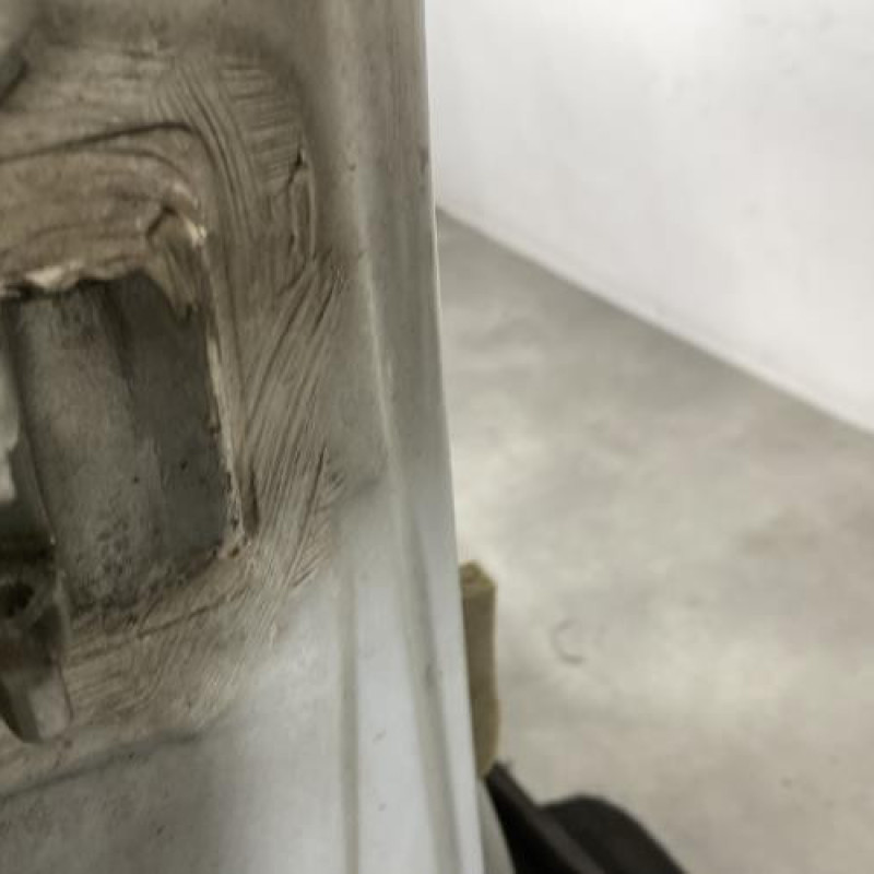 Porte avant droit RENAULT SCENIC 1 Photo n°4