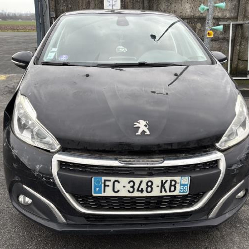 Malle/Hayon arriere PEUGEOT 208 1 Photo n°19