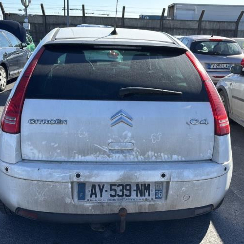 Porte avant gauche CITROEN C4 1 Photo n°12