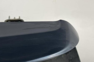 Malle/Hayon arriere CITROEN C4 PICASSO 1