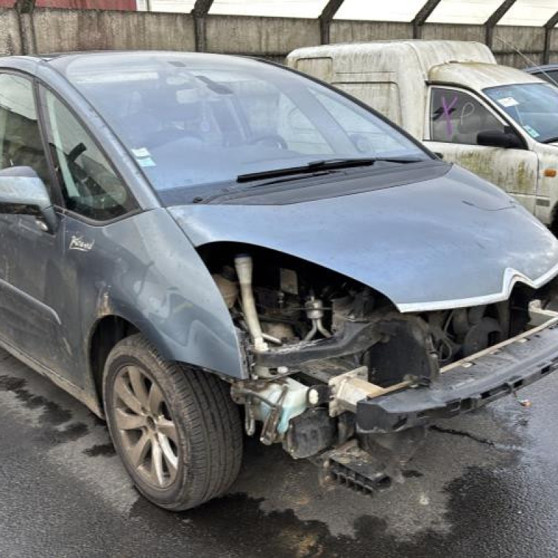 Porte arriere droit CITROEN C4 PICASSO 1 Photo n°9