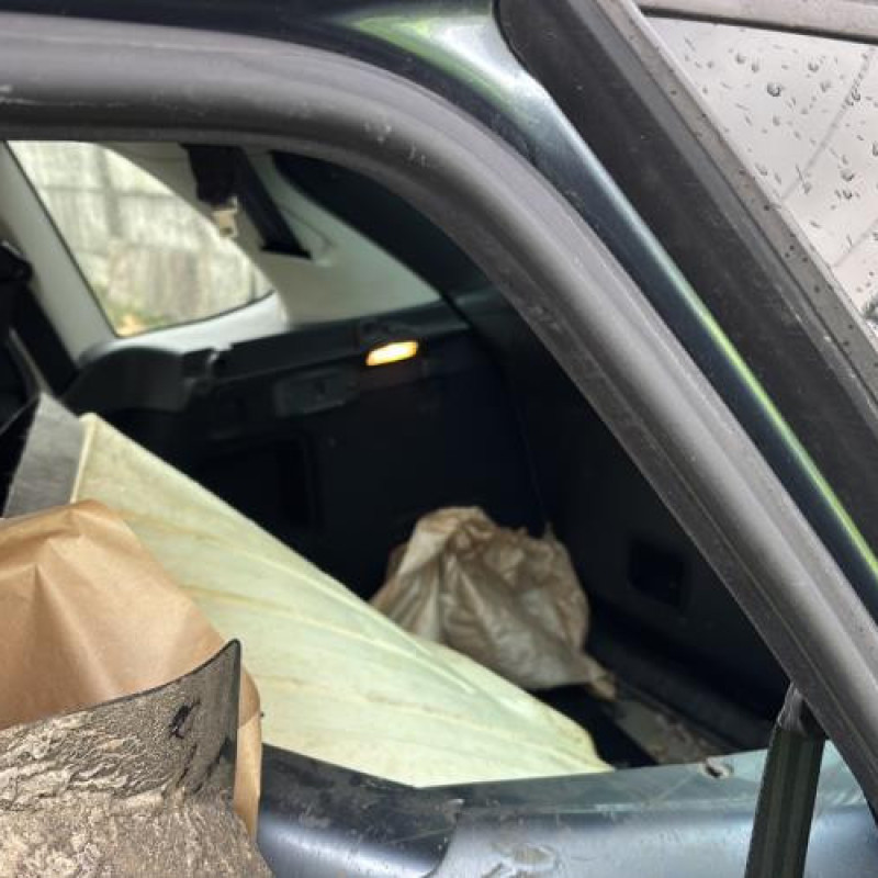 Porte arriere droit CITROEN C4 PICASSO 1 Photo n°17