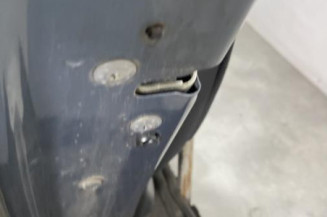 Porte arriere gauche CITROEN C4 PICASSO 1