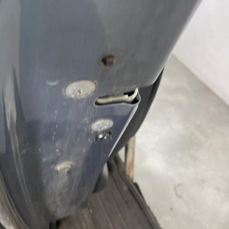 Porte arriere gauche CITROEN C4 PICASSO 1 Photo n°3