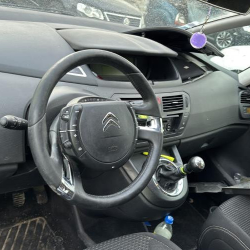 Porte avant gauche CITROEN C4 PICASSO 1 Photo n°18