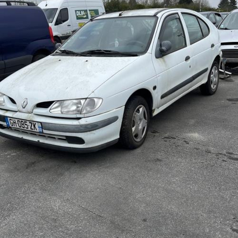 Malle/Hayon arriere RENAULT MEGANE 1 Photo n°15