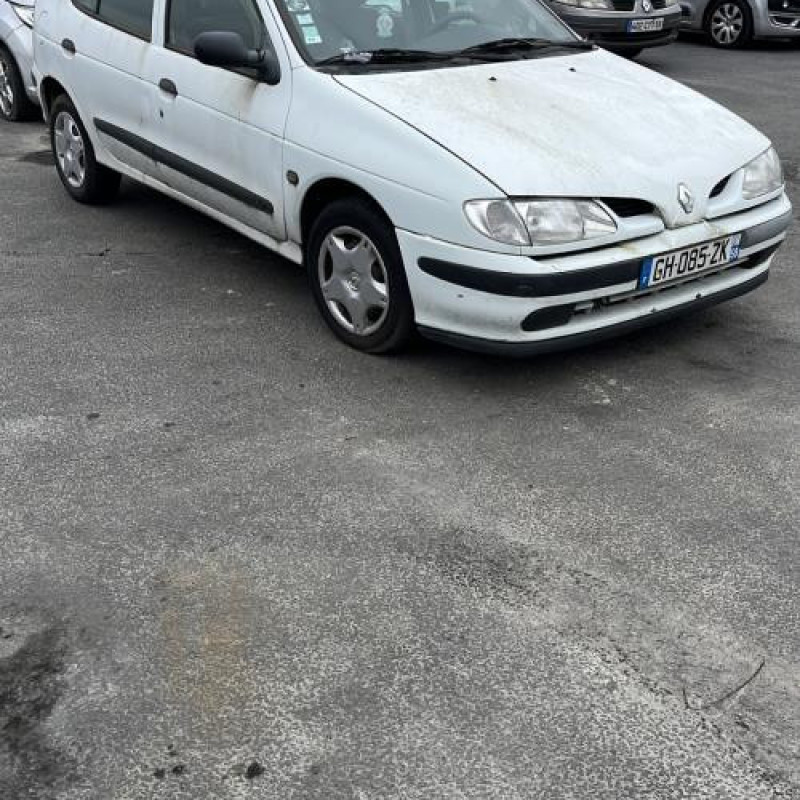 Malle/Hayon arriere RENAULT MEGANE 1 Photo n°16