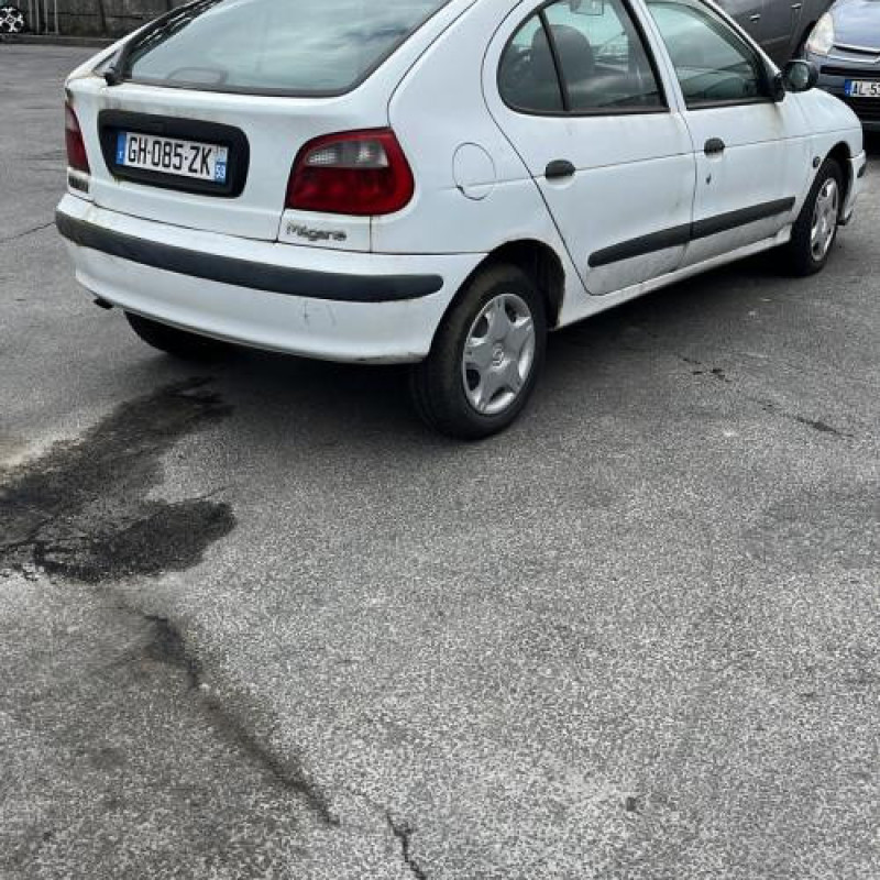 Malle/Hayon arriere RENAULT MEGANE 1 Photo n°17
