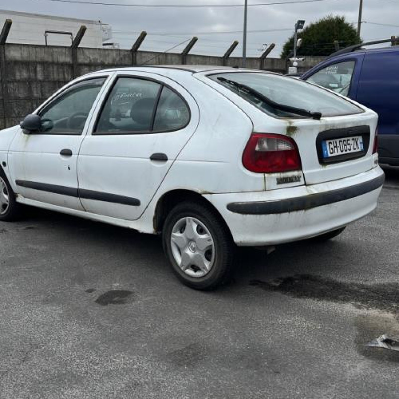 Malle/Hayon arriere RENAULT MEGANE 1 Photo n°18
