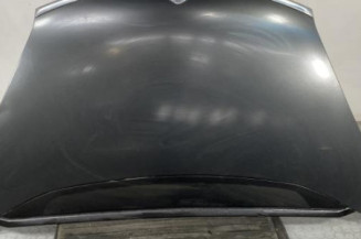 Capot CITROEN C4 PICASSO 1 Photo n°1