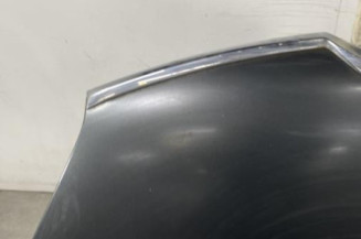 Capot CITROEN C4 PICASSO 1