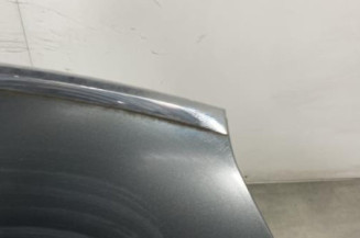 Capot CITROEN C4 PICASSO 1